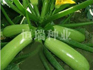 �GԪ��-�����J�N��-����N�I(y��)