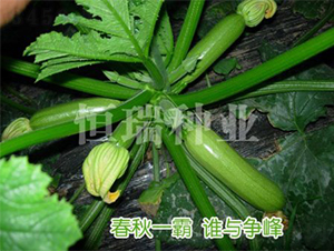 ��˹���_-�����J�N��-����N�I(y��)