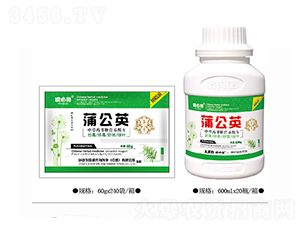 �ѹ�Ӣ-���ص�-������