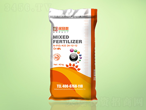 �������׷����24-12-12-�e����-�����r(n��ng)�I(y��)