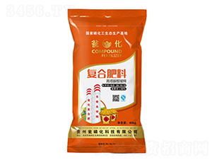 ������ȩ����͏�(f��)�Ϸ�-�Y��