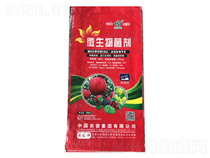 40kg΢�������-������