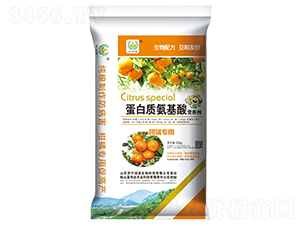 ���ٌ��õ����|(zh��)������I(y��ng)�B(y��ng)��-��Դ����