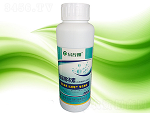 ���徫�A��-������-�Ϻ�(li��n)�I(y��) 