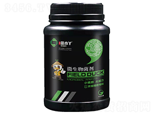 ΢�������-��СѾ-�_������