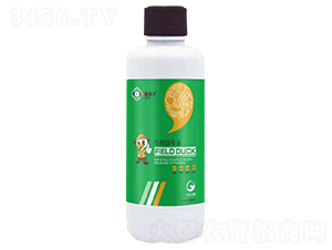 �����G�~��-��СѾ-�_������