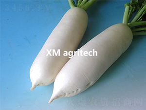 ���(y��ng)�}��-�}���N��-���r(n��ng)�r(n��ng)�I(y��)