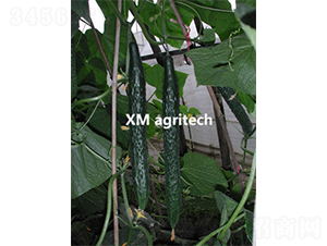 �G��-�S�ϷN��-���r(n��ng)�r(n��ng)�I(y��)