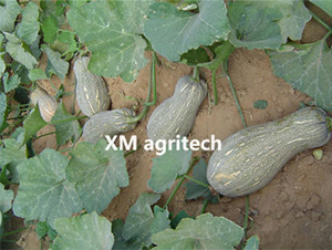 �۱�-�ϹϷN��-���r(n��ng)�r(n��ng)�I(y��)