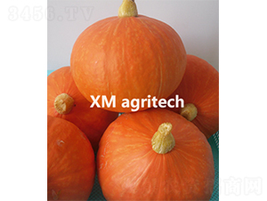 ��|��-�ϹϷN��-���r(n��ng)�r(n��ng)�I(y��)