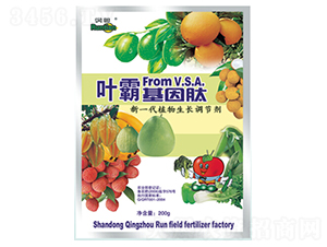 �~�Ի�����-�������