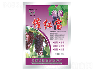 ���Ѵ߼t��-��(r��n)�����