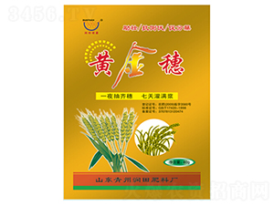 �S�����~���-�������