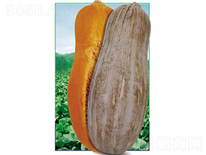 ���߽�Դ�۱��Ϲ�998F1-�ϹϷN��-�V�݁���