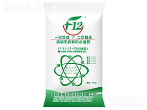 �߶˟o(w��)�C(j��)�ЙC(j��)ˮ�ܷ���17-17-17+TE-�۵��S�r(n��ng)�I(y��)