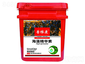 ���徫�A��-�վS��-ǧ������ 