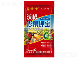 �ߝ�ȷ���-�Ҹ����⛌�-�վS��-ǧ������