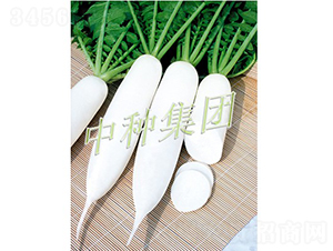 �L(zh��ng)��1̖(h��o)-�}���N��-�зN���F(tu��n)