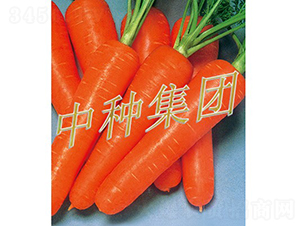 ����-���}���N��-�зN���F(tu��n)