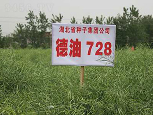 ����728-�Ͳ˷N��-���r(n��ng)�l(f��)