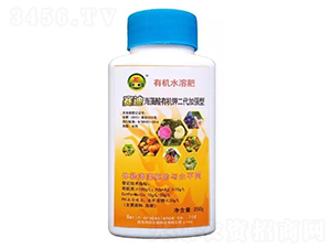 �t�Ρ������ЙC(j��)�-�t��