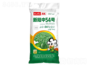 �����54̖-�޻��N��-ʥ�S�N�I(y��)