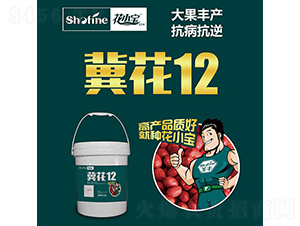 ����12-�����N��-ʥ�S�N�I(y��)