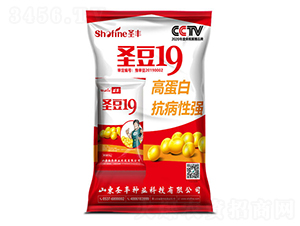 ʥ��19-�󶹷N��-ʥ�S�N�I(y��)