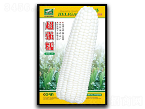 ����(qi��ng)Ŵ-Ŵ���׷N��-ȫ�d�N�I(y��)