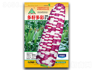 ���Ѷ��-Ŵ���׷N��-ȫ�d�N�I(y��)