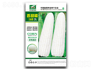 ����Ŵ168-Ŵ���׷N��-ȫ�d�N�I(y��)