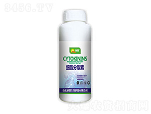 ��(x��)��������-������� 