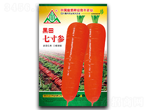 �����ߴ煢-���}���N��-ȫ�d�N�I(y��)