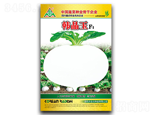 �n����-�A���}���N��-ȫ�d�N�I(y��)