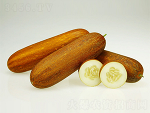 �����-���S�ϷN��-���ڷN��