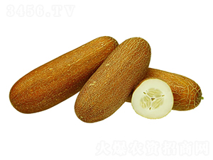 �����-���S�ϷN��-���ڷN��