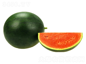 ���B-���ϷN��-���ڷN��