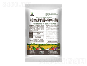 �z����ѿ�ߗU��-�r(n��ng)������