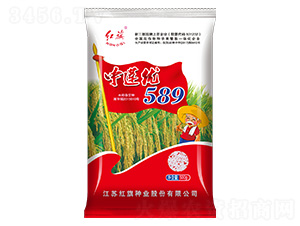 ��ɏ��(y��u)589-ˮ���N��-�t��N�I(y��)