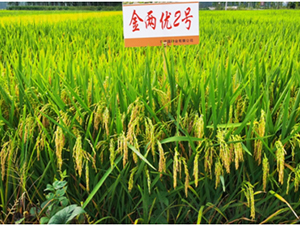 ���Ƀ�(y��u)2̖(h��o)-ˮ���N��-������