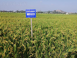 �Ͼ�93093-ˮ���N��-������