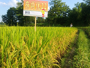 ��Ƀ�(y��u)22-ˮ���N��-�����N�I(y��)