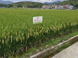 �X��(y��u)930-ˮ���N��-�����N�I(y��)