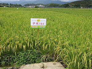 �o��(y��u)164-ˮ���N��-�����N�I(y��)