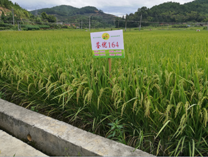 ����(y��u)164-ˮ���N��-�����N�I(y��)