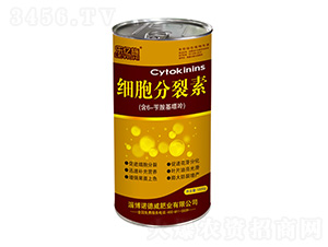 ��(x��)��������-���|ʩ-�Z���� 