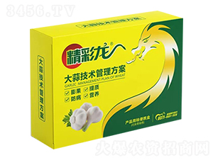 ���⼼�g��������-������-����r�I(y��)