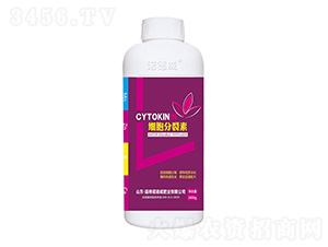 ��(x��)��������-�Z���� 