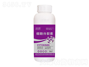 500ml��(x��)��������-�Z���� 