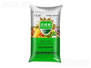 ���\���ጷ���28-6-8-��������